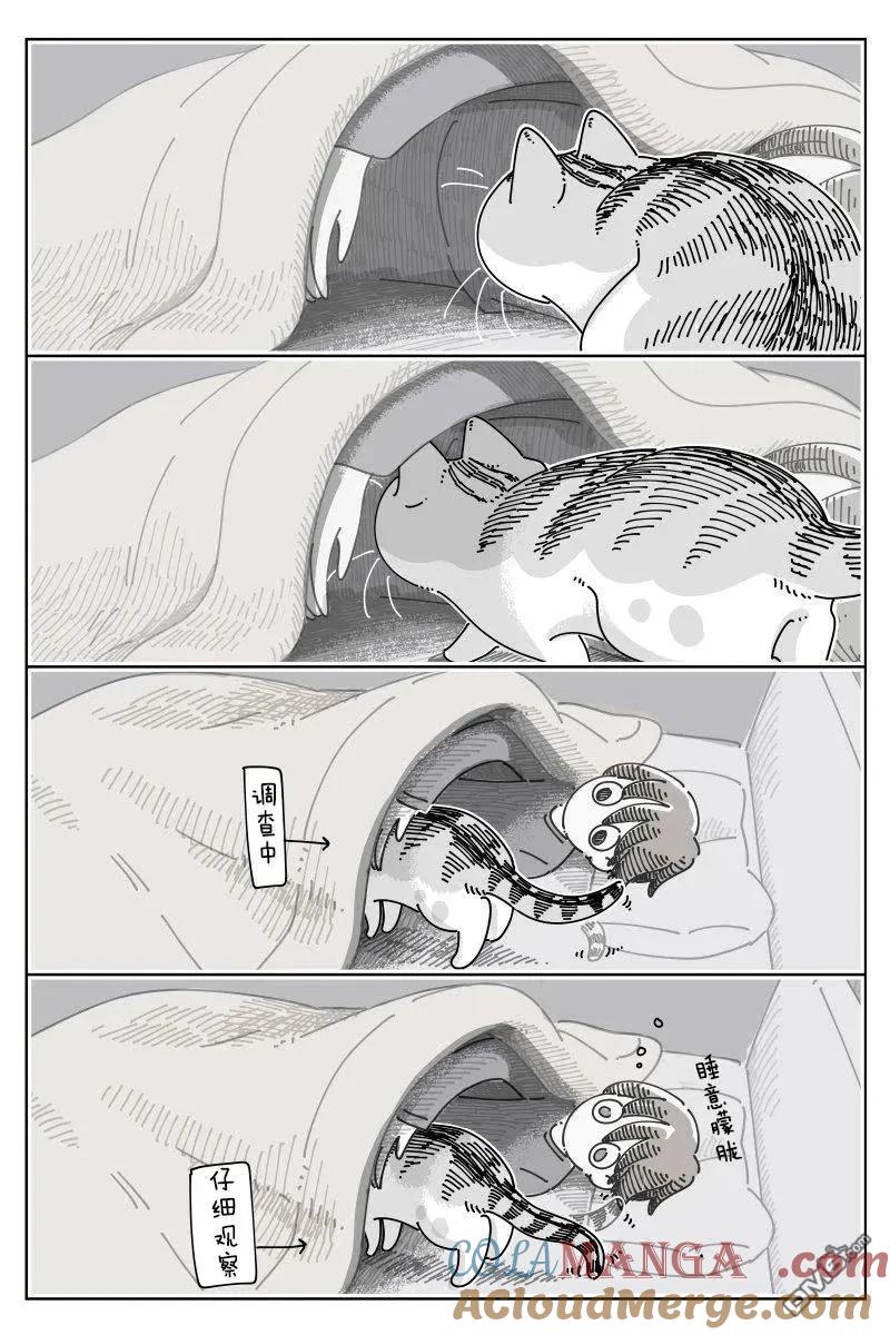 第244话-关于养猫我一直是新手-キュルZ（第1张）