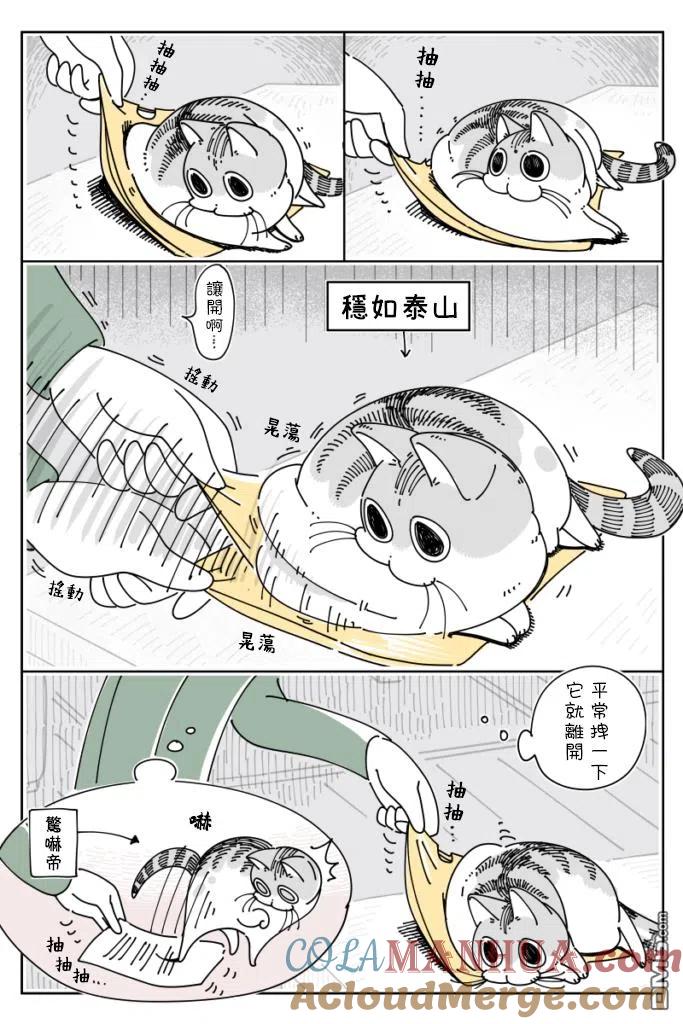 第32话-关于养猫我一直是新手-キュルZ（第1张）