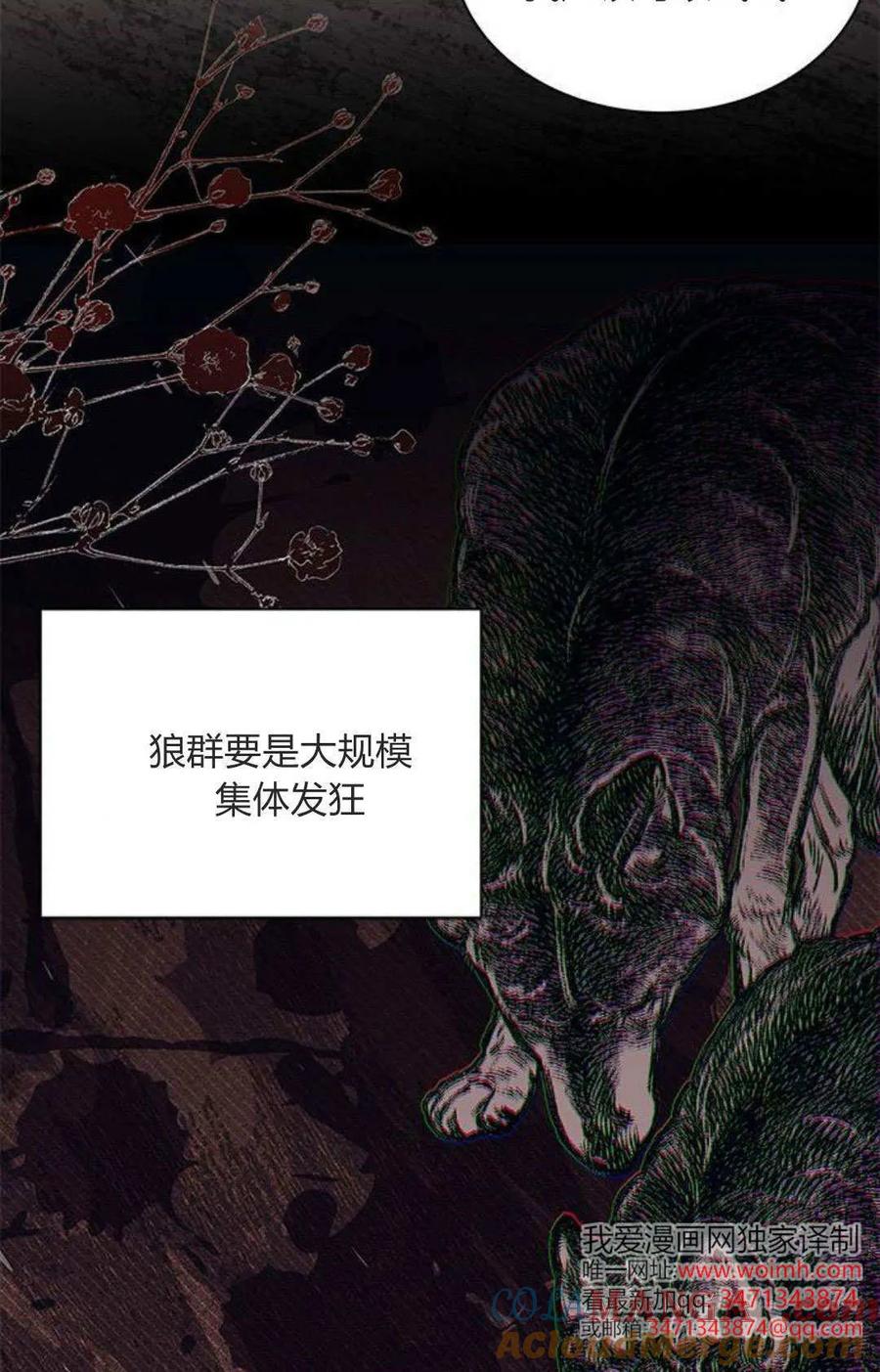 第53话-明明是猫，却被狼族收养了？-노찬주（第22张）