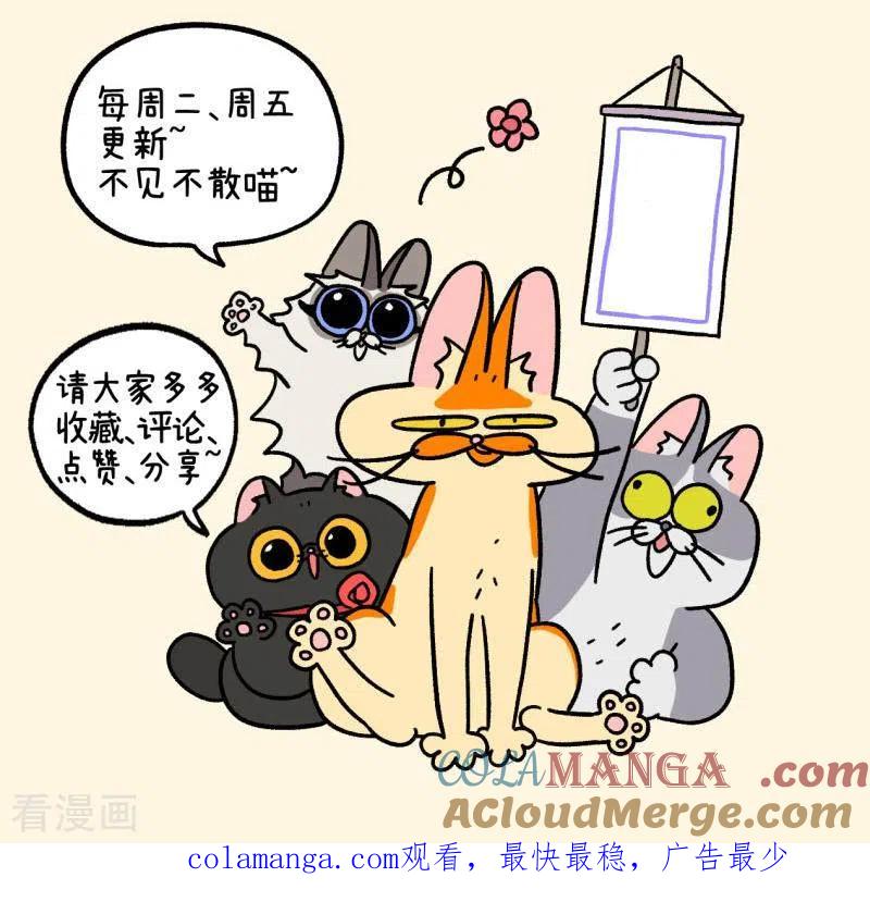 番外11下花娇的圣诞愿望1-阿满和麦茶-新漫画 日胖大海寺（第7张）