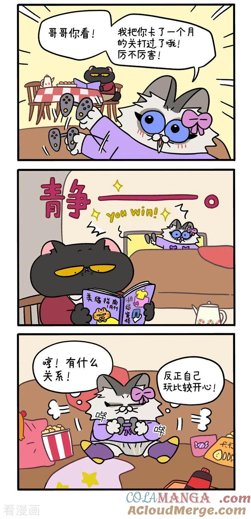 番外11下花娇的圣诞愿望1-阿满和麦茶-新漫画 日胖大海寺（第3张）