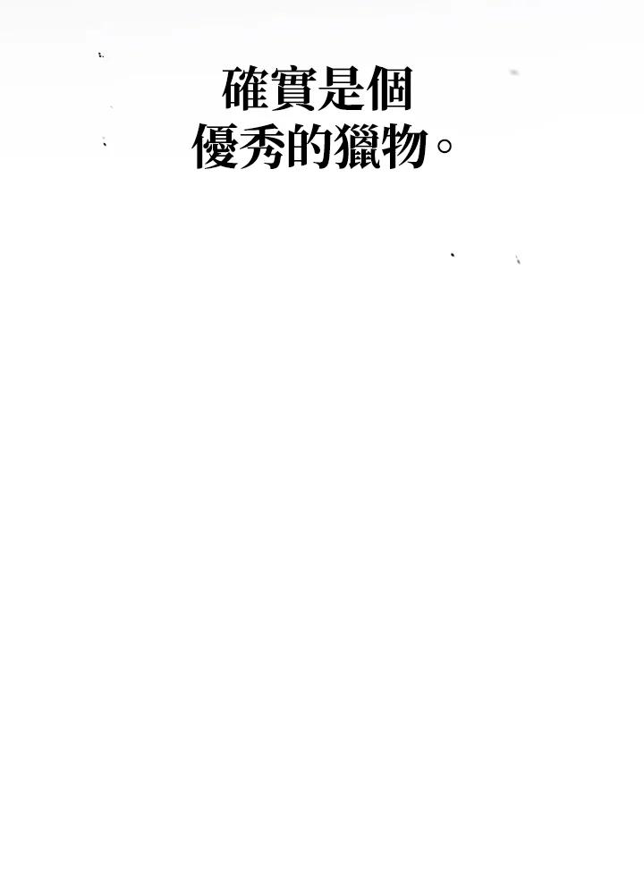 104.jpg