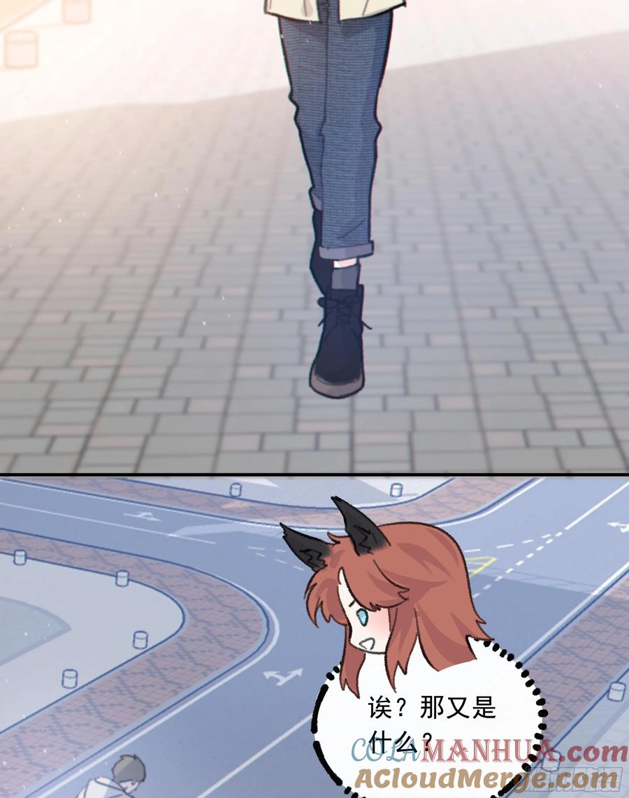 40.jpg