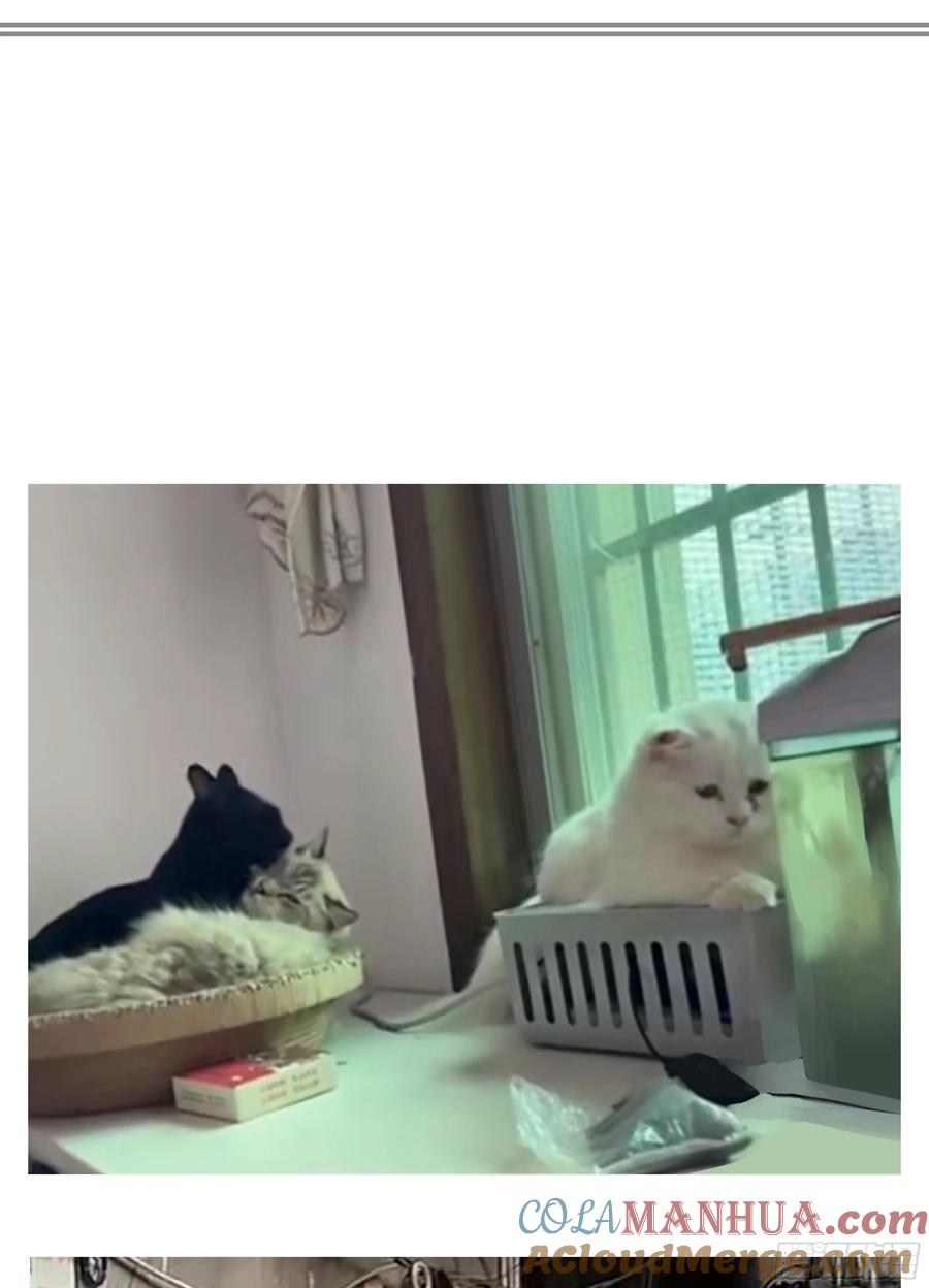 88.jpg