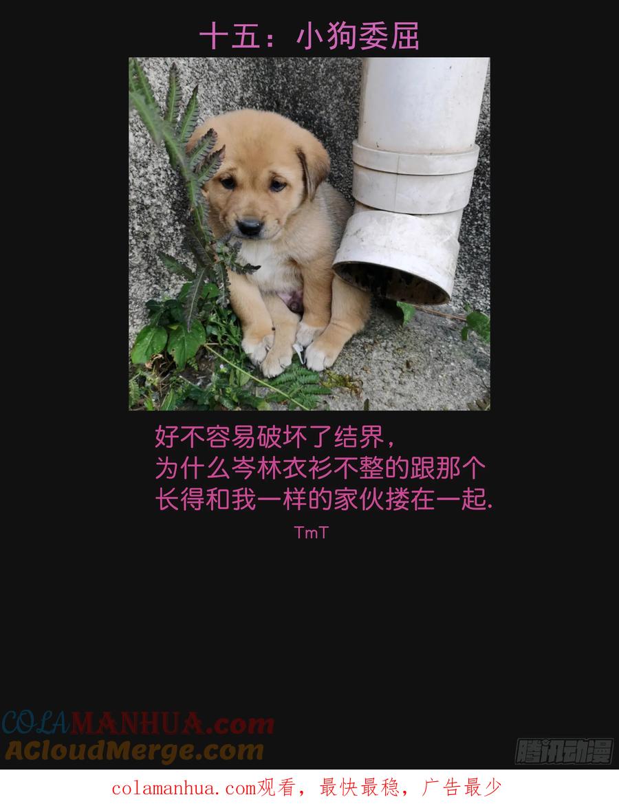 88.jpg