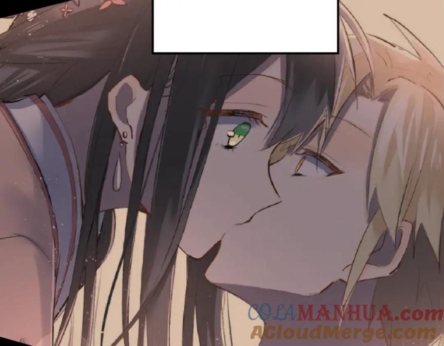 113.jpg