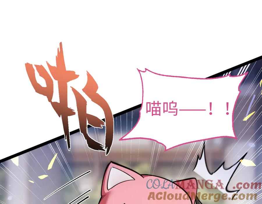 137.jpg