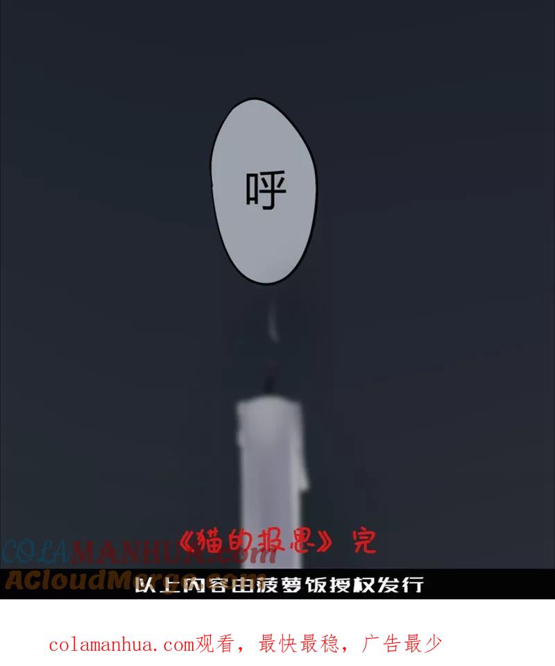 第15话猫的报恩(7)-耽美诡谈-译水（第31张）