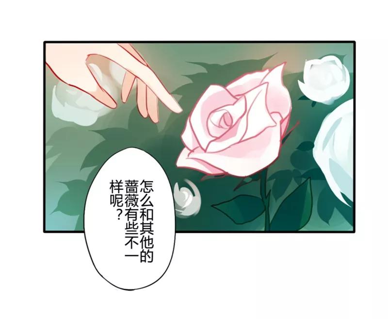 第20话花儿与少年(1)-耽美诡谈-译水（第11张）
