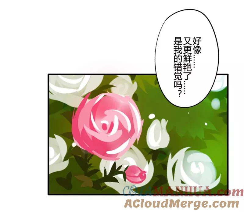 第21话花儿与少年(2)-耽美诡谈-译水（第3张）