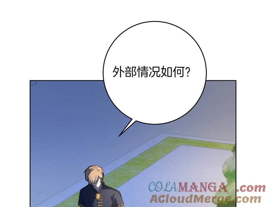 81.jpg