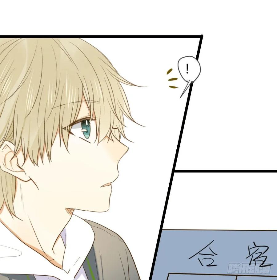 桌咚试试吗？-诞下龙种吧！-尼三岁+盖子犬（第6张）