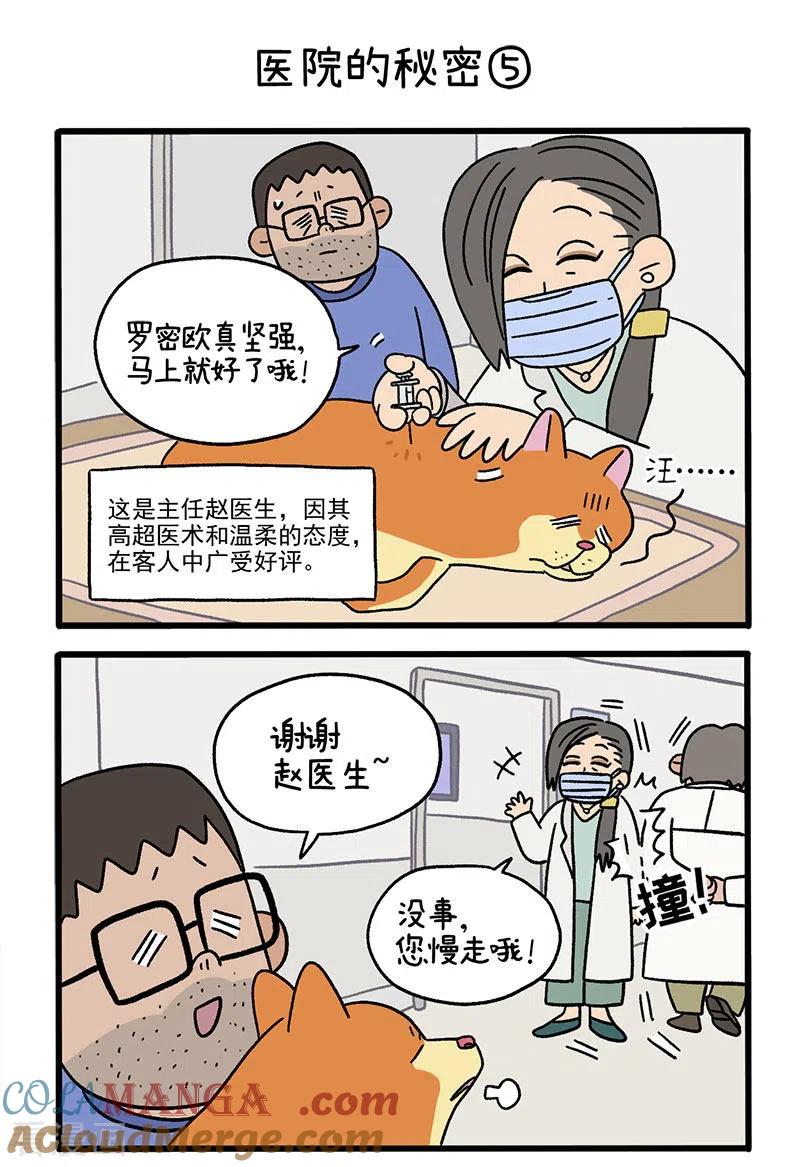 番外3医院的秘密2-阿满和麦茶-新漫画 日胖大海寺（第3张）