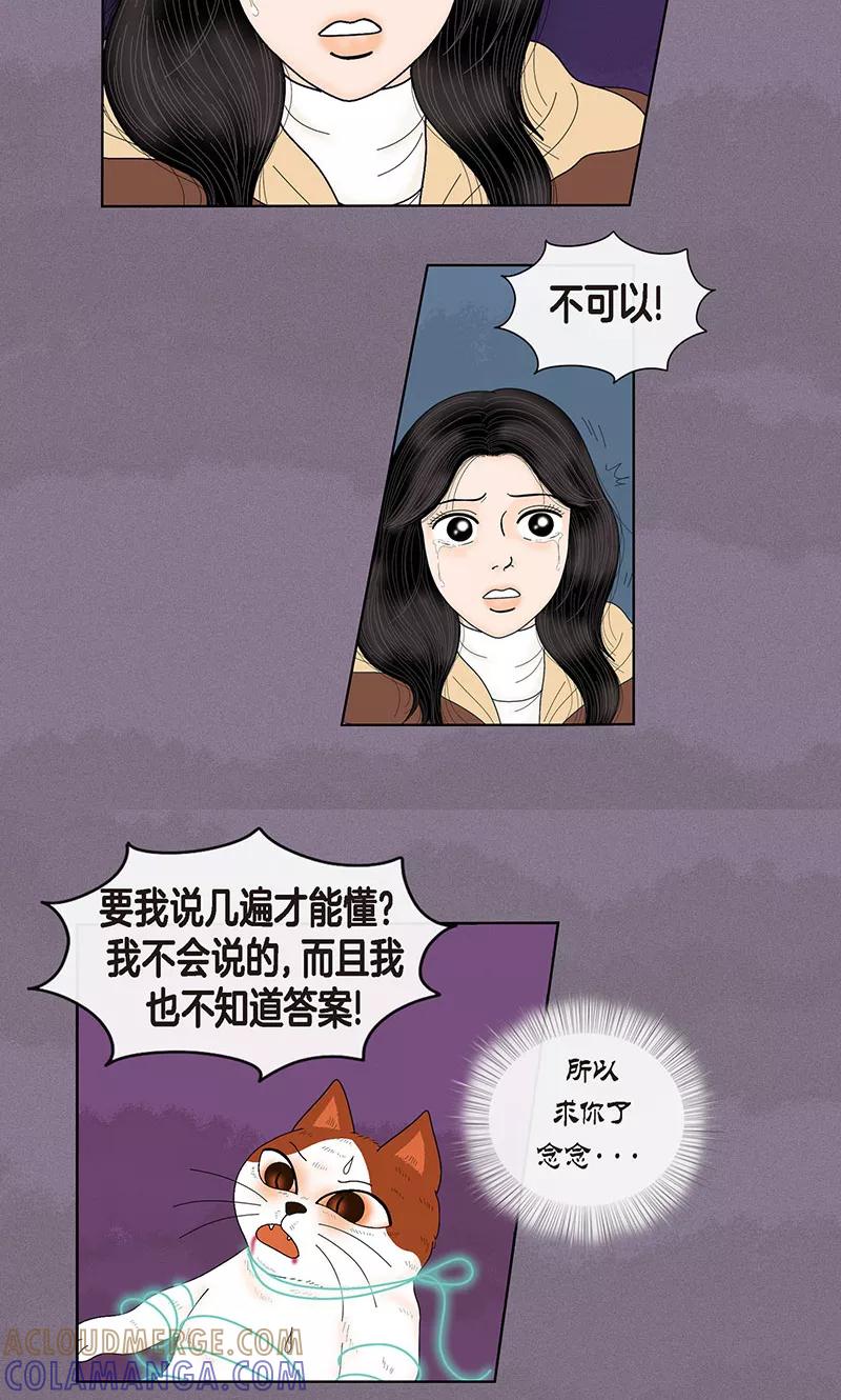 第71话左右为难-猫王子-蓝文文化（第3张）