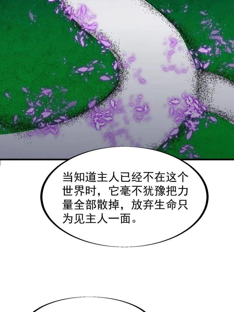 74.jpg