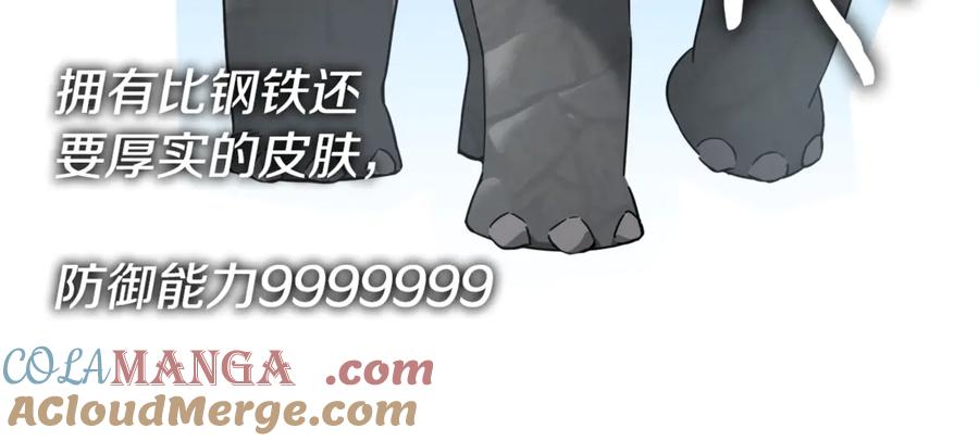 97.jpg