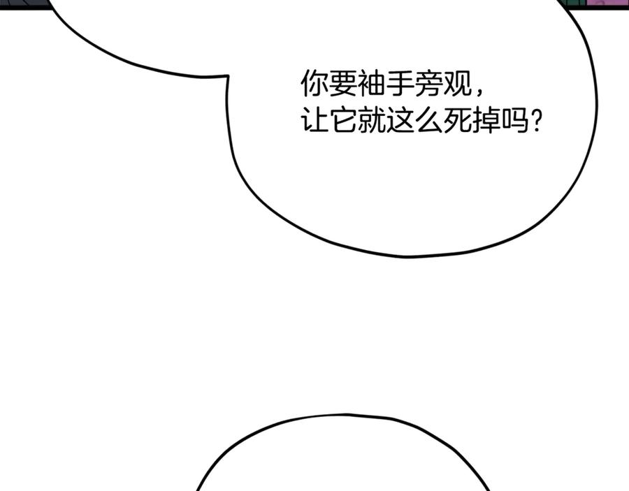 147.jpg