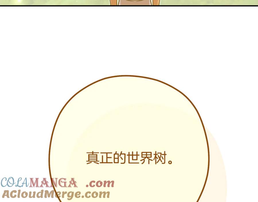 241.jpg