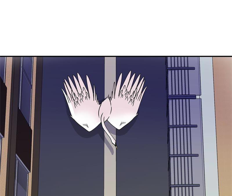 第82话莱昂的力量-奇妙的动物高中-一漫文化（第4张）