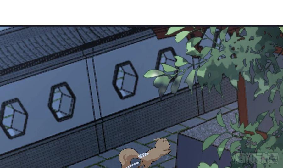 21.jpg