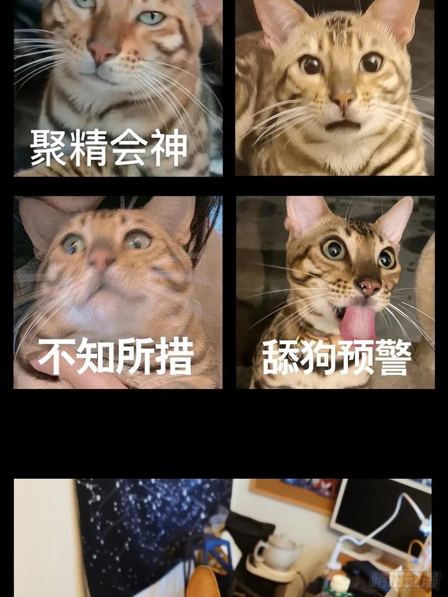 50.jpg
