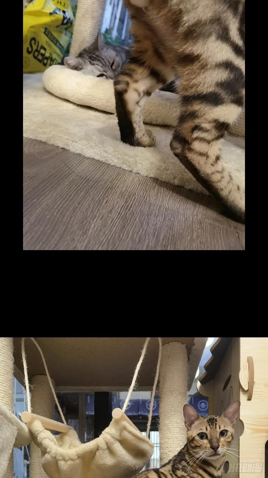 44.jpg