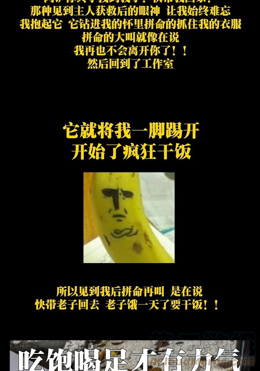 48.jpg