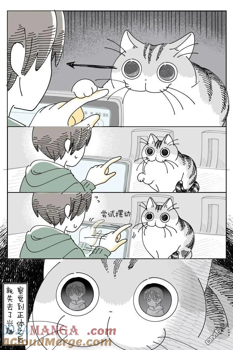 第227话-关于养猫我一直是新手-キュルZ（第2张）