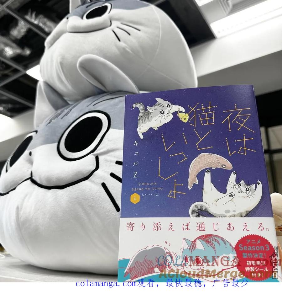 第227话-关于养猫我一直是新手-キュルZ（第3张）