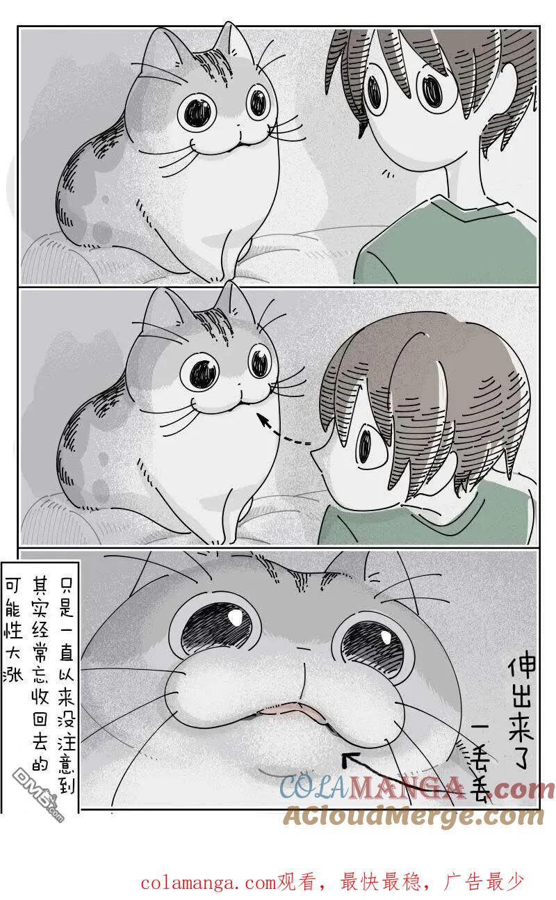 第228话-关于养猫我一直是新手-キュルZ（第1张）