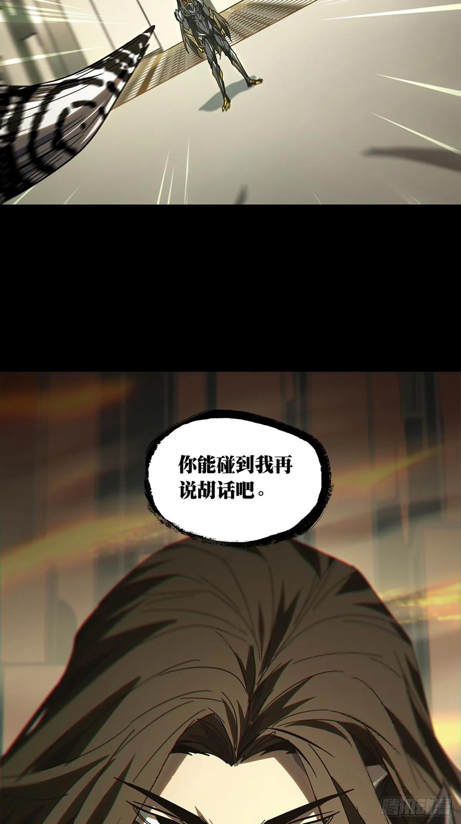 41.jpg