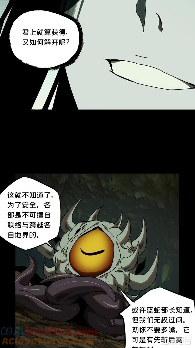 41.jpg