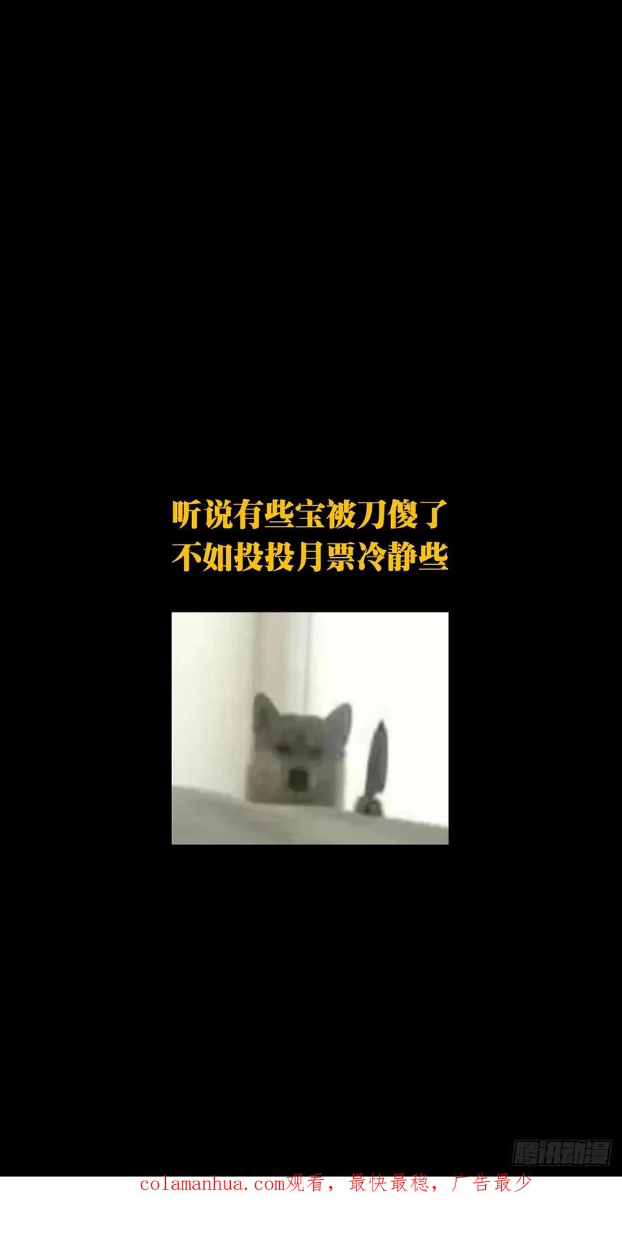 54.jpg