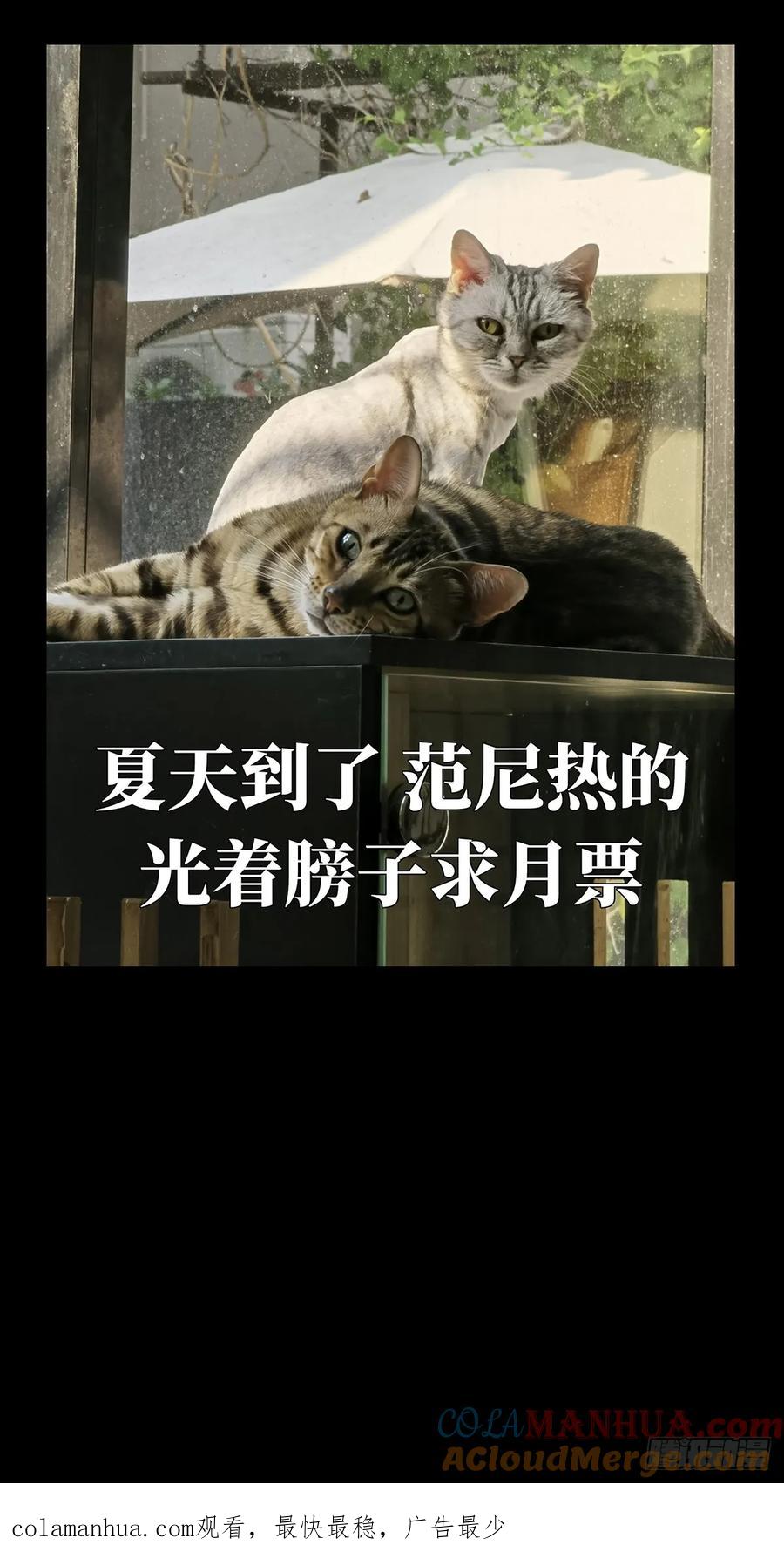 43.jpg