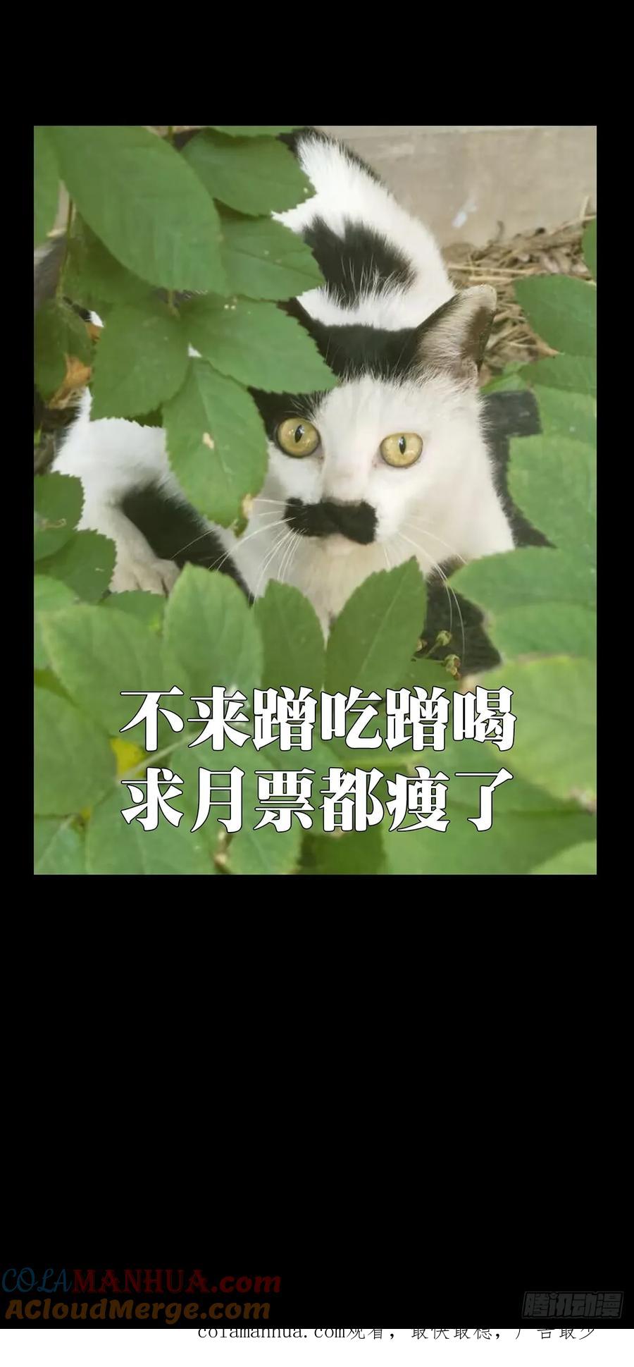 58.jpg