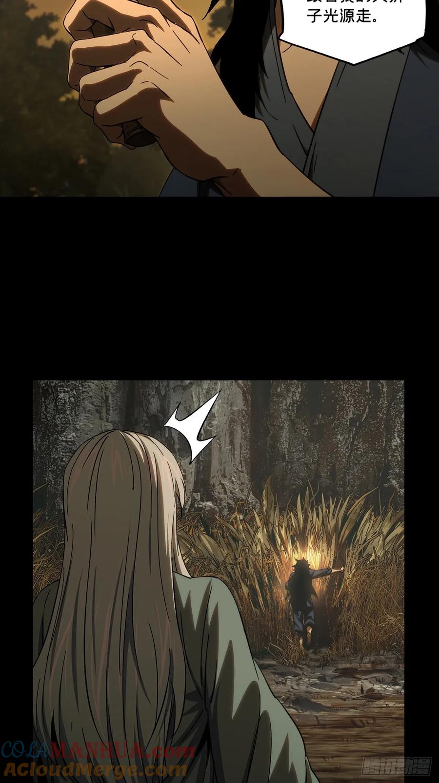 31.jpg