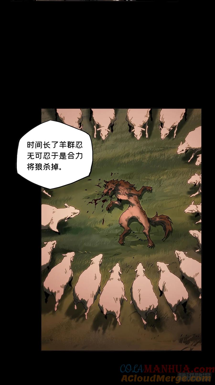 13.jpg