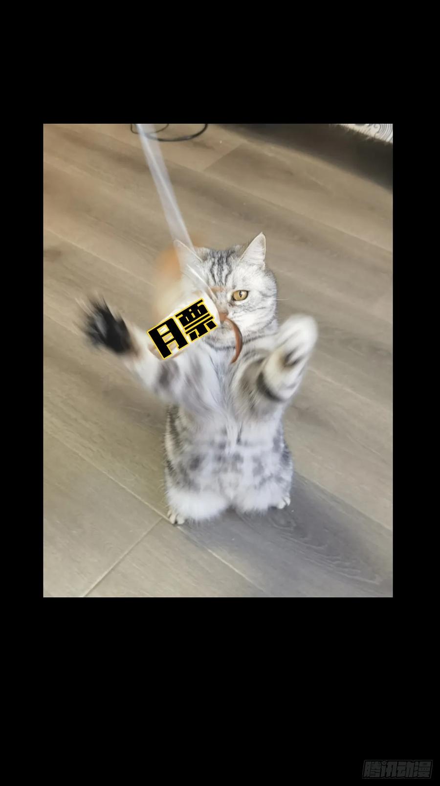 48.jpg
