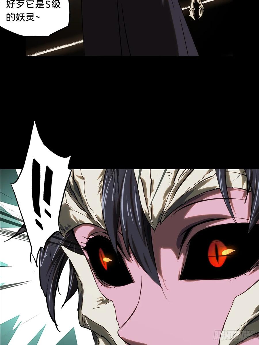 41.jpg