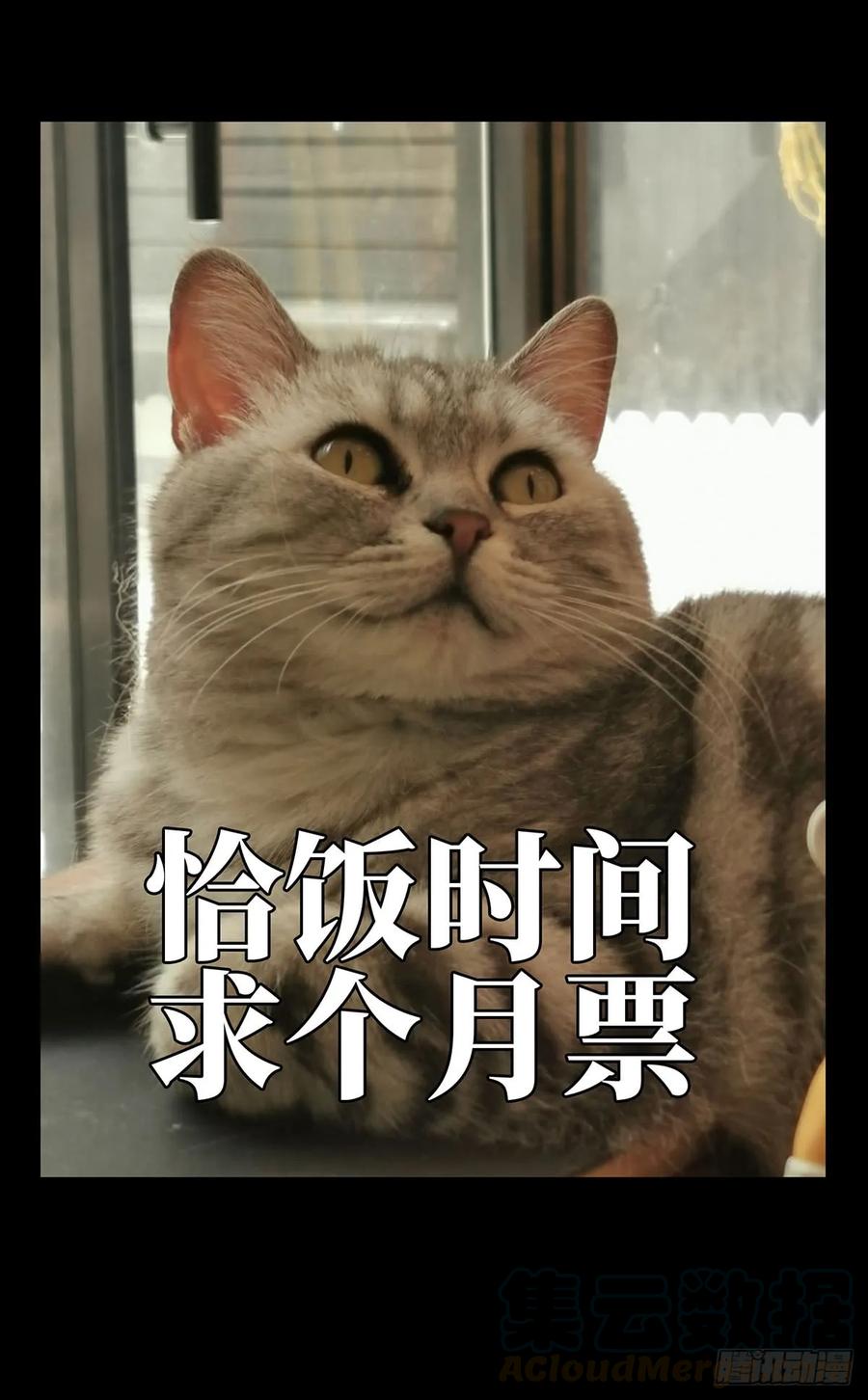 40.jpg