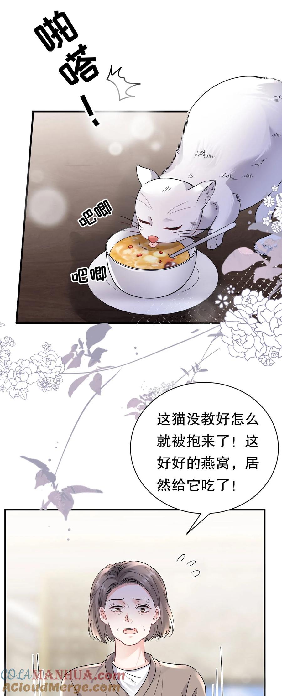 第176话合作达成-大小姐能有什么坏心眼呢-云端漫画（第35张）