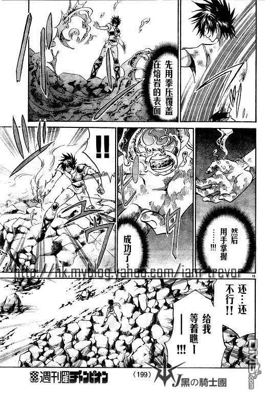 第98话-圣斗士星矢 冥王神话-手代木史织（第15张）