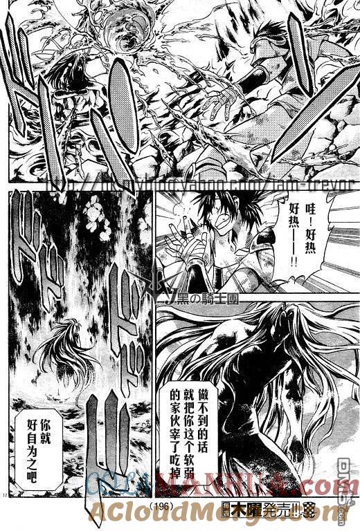 第98话-圣斗士星矢 冥王神话-手代木史织（第12张）
