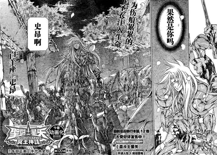 第120话-圣斗士星矢 冥王神话-手代木史织（第1张）