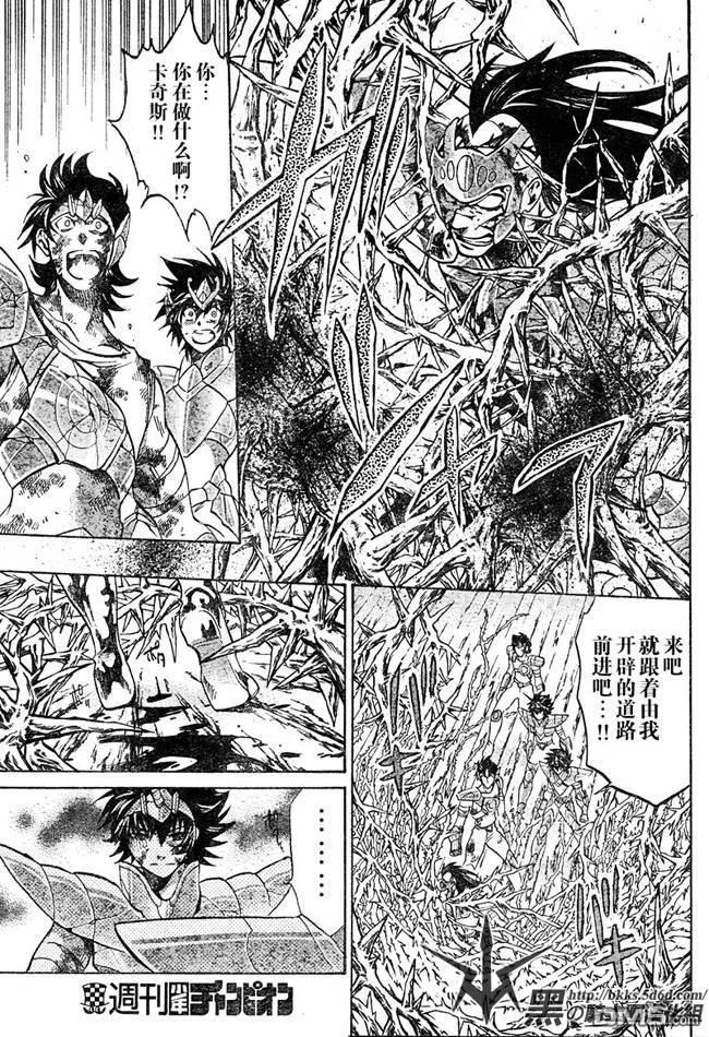 第124话-圣斗士星矢 冥王神话-手代木史织（第11张）