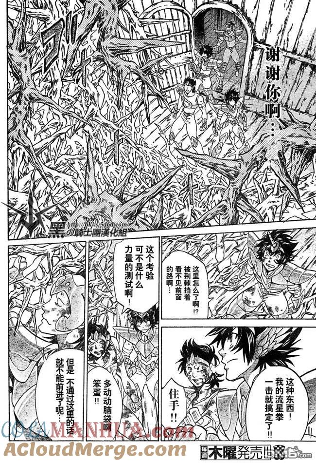 第124话-圣斗士星矢 冥王神话-手代木史织（第10张）