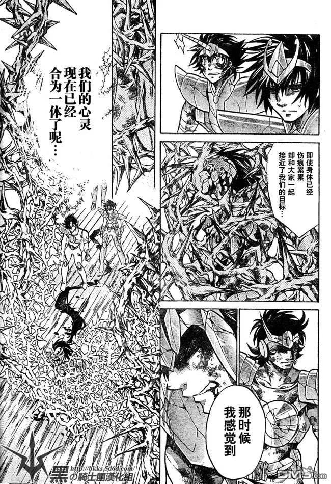 第124话-圣斗士星矢 冥王神话-手代木史织（第13张）
