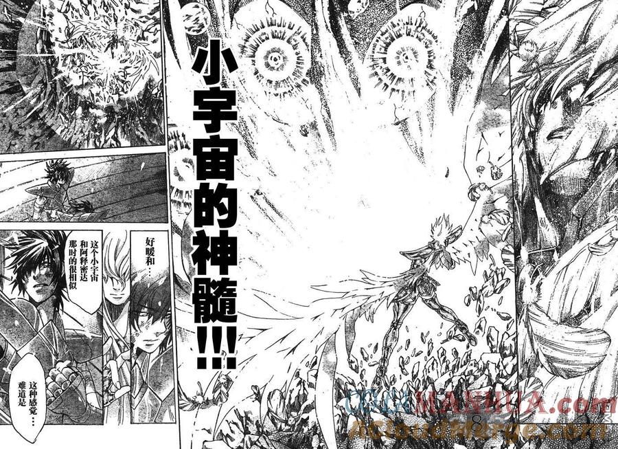 第131话-圣斗士星矢 冥王神话-手代木史织（第10张）