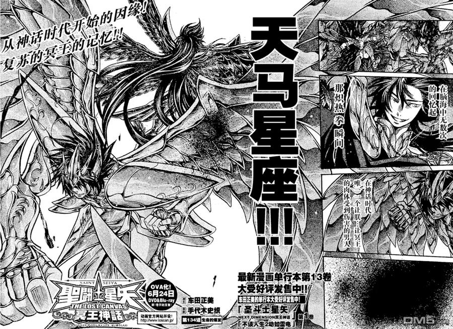 第134话-圣斗士星矢 冥王神话-手代木史织（第1张）