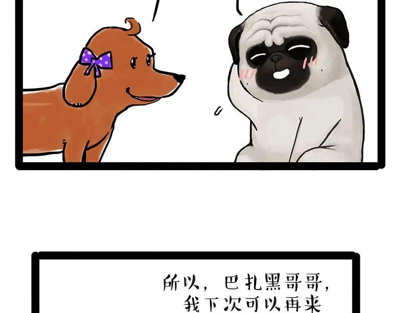 34.jpg